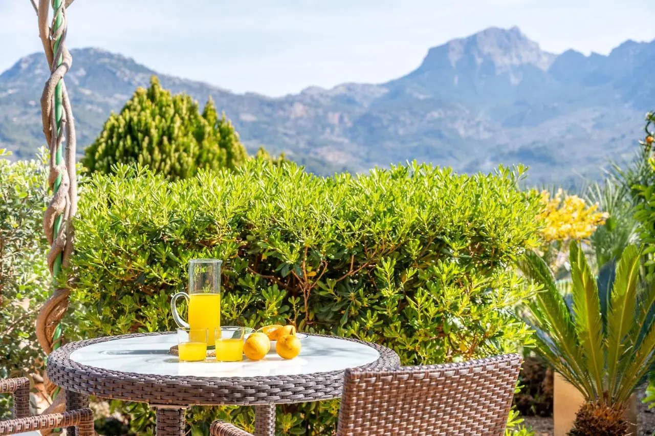 Can Costurer Soller Holiday home